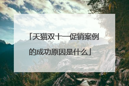 天猫双十一促销案例的成功原因是什么