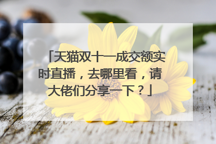 天猫双十一成交额实时直播，去哪里看，请大佬们分享一下？