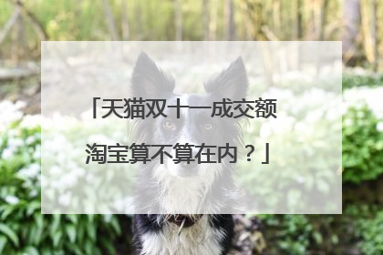 天猫双十一成交额 淘宝算不算在内?