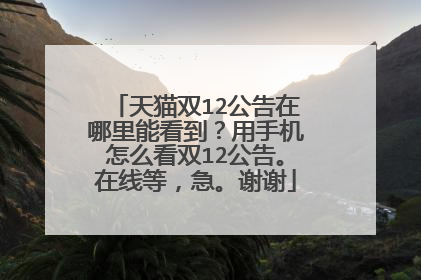 天猫双12公告在哪里能看到?用手机怎么看双12公告。在线等,急。谢谢