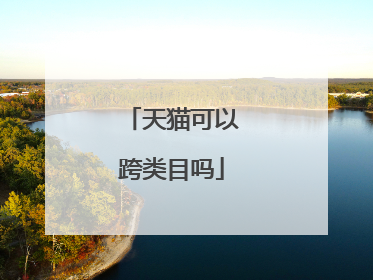 天猫可以跨类目吗