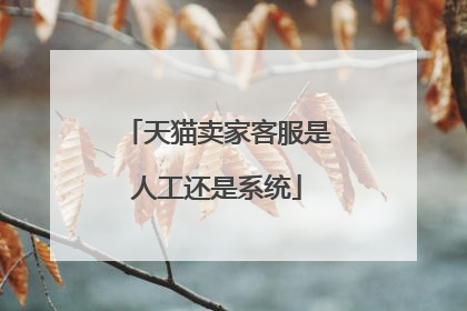 天猫卖家客服是人工还是系统