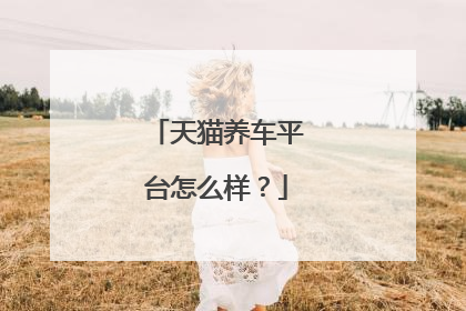 天猫养车平台怎么样?