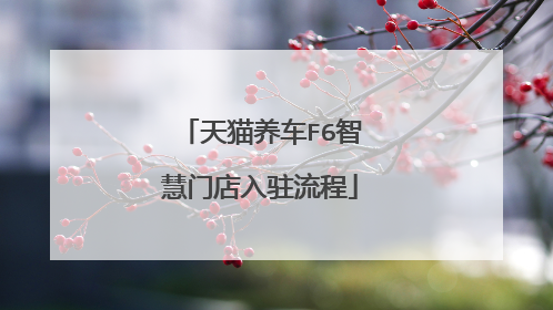 天猫养车F6智慧门店入驻流程