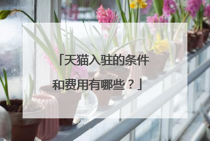 天猫入驻的条件和费用有哪些?