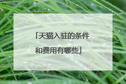 天猫入驻的条件和费用有哪些