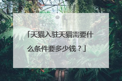 天猫入驻天猫需要什么条件要多少钱?