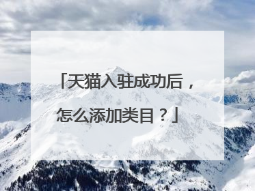天猫入驻成功后,怎么添加类目?
