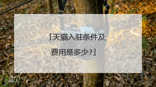 天猫入驻条件及费用是多少?