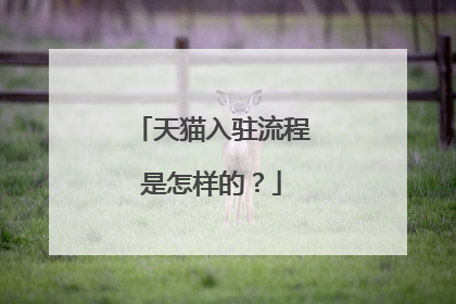 天猫入驻流程是怎样的?