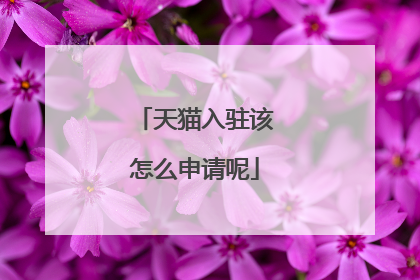 天猫入驻该怎么申请呢