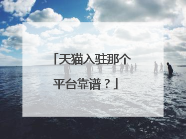 天猫入驻那个平台靠谱?