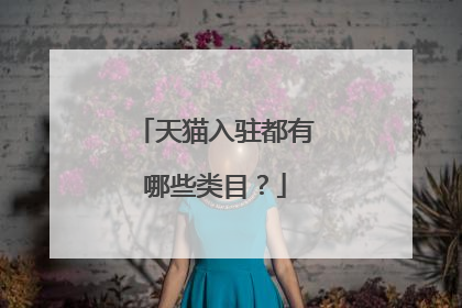 天猫入驻都有哪些类目?