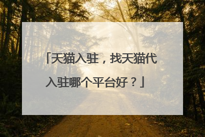 天猫入驻,找天猫代入驻哪个平台好?