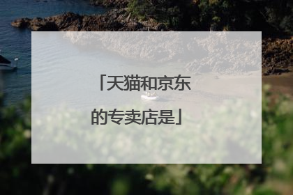 天猫和京东的专卖店是