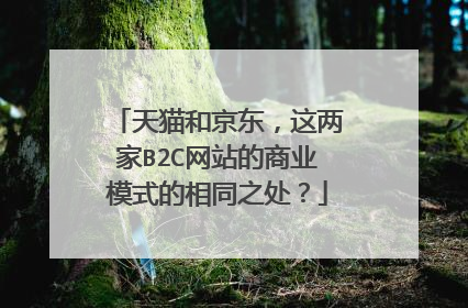 天猫和京东,这两家B2C网站的商业模式的相同之处?