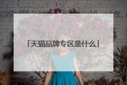 天猫品牌专区是什么