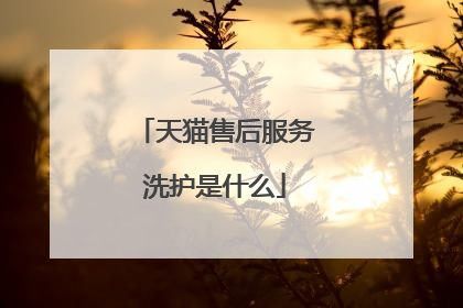 天猫售后服务洗护是什么