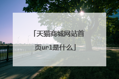 天猫商城网站首页url是什么