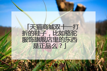 天猫商城双十一打折的鞋子，比如骆驼服饰旗舰店里的东西是正品么？