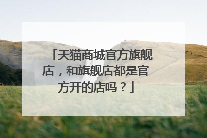 天猫商城官方旗舰店，和旗舰店都是官方开的店吗？