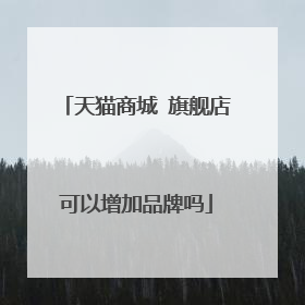 天猫商城 旗舰店可以增加品牌吗