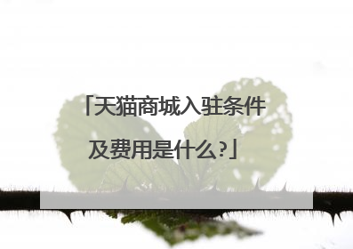 天猫商城入驻条件及费用是什么?