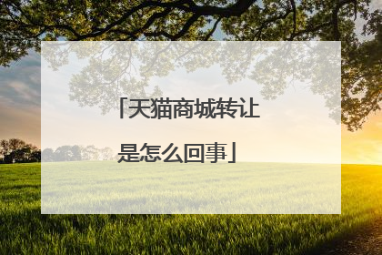 天猫商城转让是怎么回事