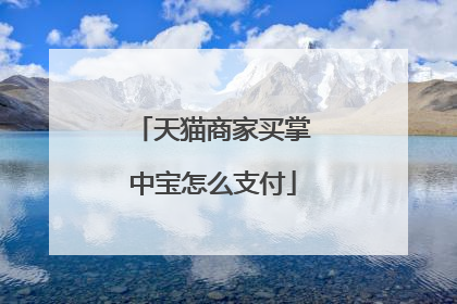 天猫商家买掌中宝怎么支付