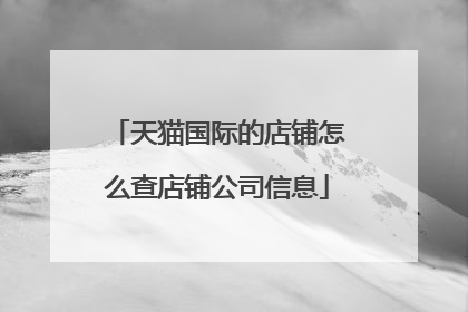 天猫国际的店铺怎么查店铺公司信息