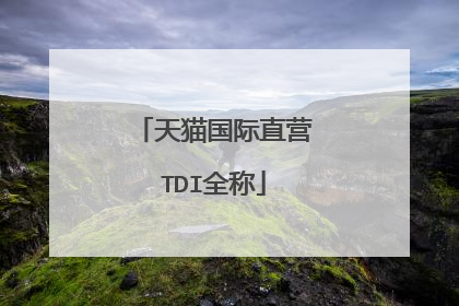 天猫国际直营TDI全称