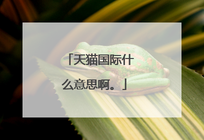 天猫国际什么意思啊。
