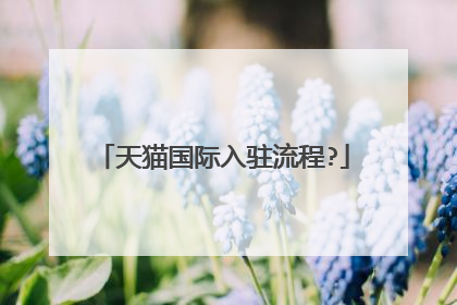 天猫国际入驻流程?