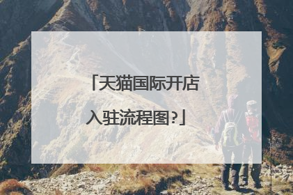 天猫国际开店入驻流程图?