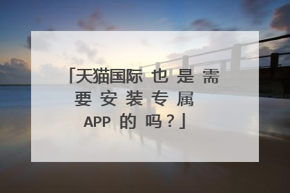 天猫国际 也 是 需 要 安 装 专 属 APP 的 吗?