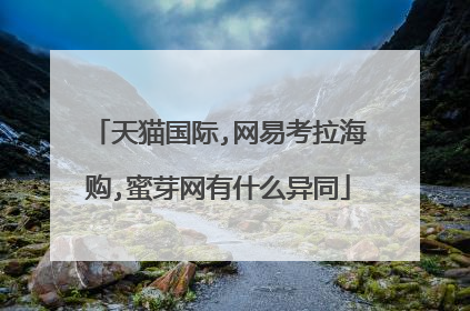 天猫国际,网易考拉海购,蜜芽网有什么异同