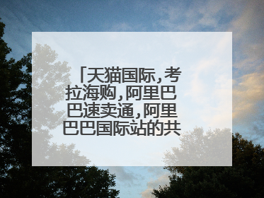 天猫国际,考拉海购,阿里巴巴速卖通,阿里巴巴国际站的共同点是什么?