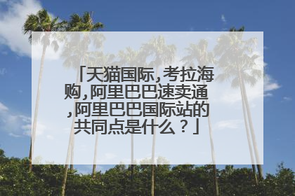 天猫国际,考拉海购,阿里巴巴速卖通,阿里巴巴国际站的共同点是什么?