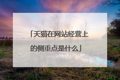 天猫在网站经营上的侧重点是什么