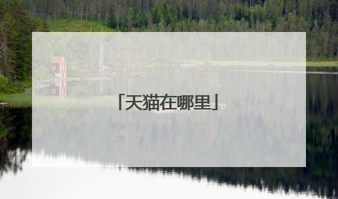 天猫在哪里