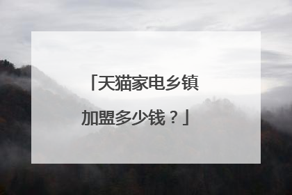 天猫家电乡镇加盟多少钱?
