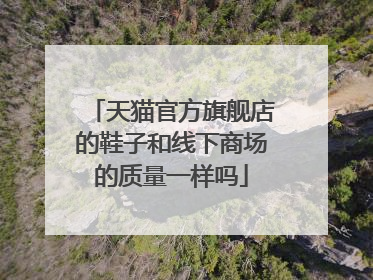 天猫官方旗舰店的鞋子和线下商场的质量一样吗
