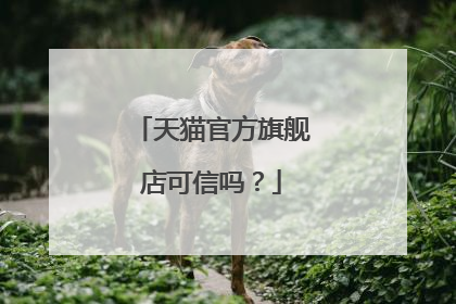 天猫官方旗舰店可信吗?