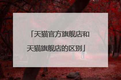 天猫官方旗舰店和天猫旗舰店的区别