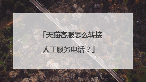 天猫客服怎么转接人工服务电话?
