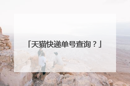 天猫快递单号查询?
