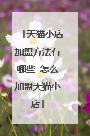 天猫小店加盟方法有哪些 怎么加盟天猫小店