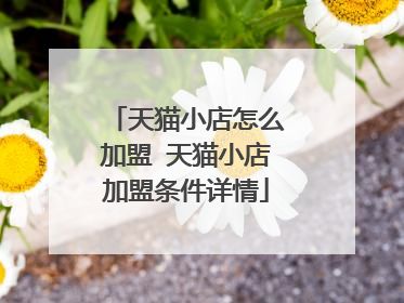 天猫小店怎么加盟 天猫小店加盟条件详情