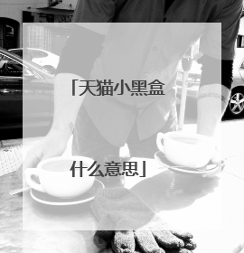 天猫小黑盒什么意思