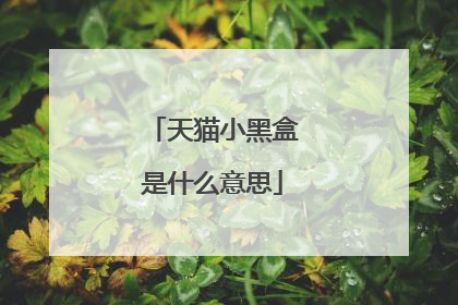 天猫小黑盒是什么意思